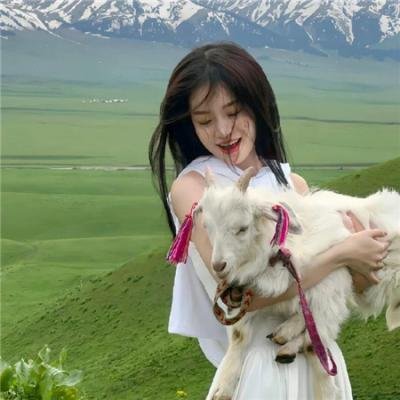 香格里拉下雪了吗